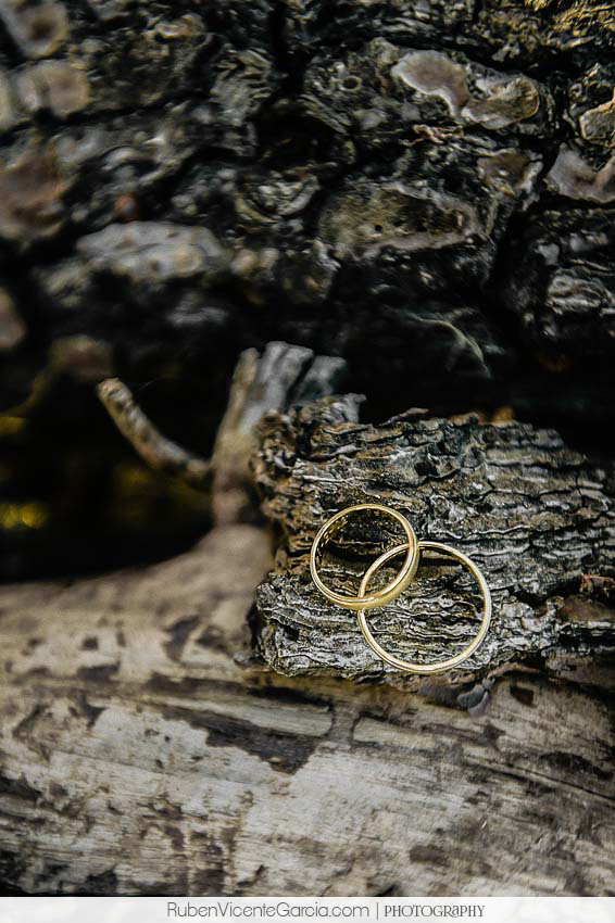 @ rubenvicentegarcia.com anillos bodas 2014 alba de tormes. Ruben Vicente Garcia,