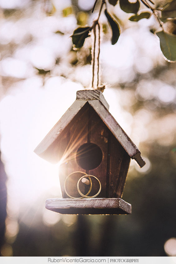 @ rubenvicentegarcia.com anillos bodas 2014 alba de tormes. Ruben Vicente Garcia,